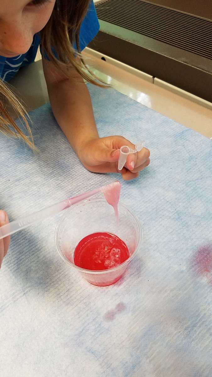 Mrs_Mamzic's tweet photo. Thanks to Mrs. Schirripa for bringing amazing and fun science experiments to room 34 @SASD_SalfordHil today! We extracted the DNA from strawberries, explored how different bird beaks work, and tested our sense of smell! https://t.co/YNHrvi6Gdk