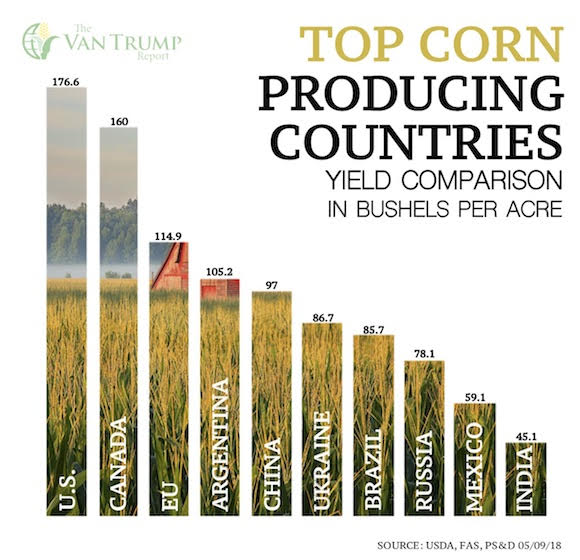KevinVanTrump's tweet photo. Yield Comparison of the Top Corn Producing Countries
The Van Trump Report Trial: https://t.co/uV7VSN9AOp
#corn #production #yields #unitedstates #canada #eu #agriculture #farming #crops #grains #commodity #vantrumpreport #usda #agoutlook #agtwitter https://t.co/4ZyTP7MnVo