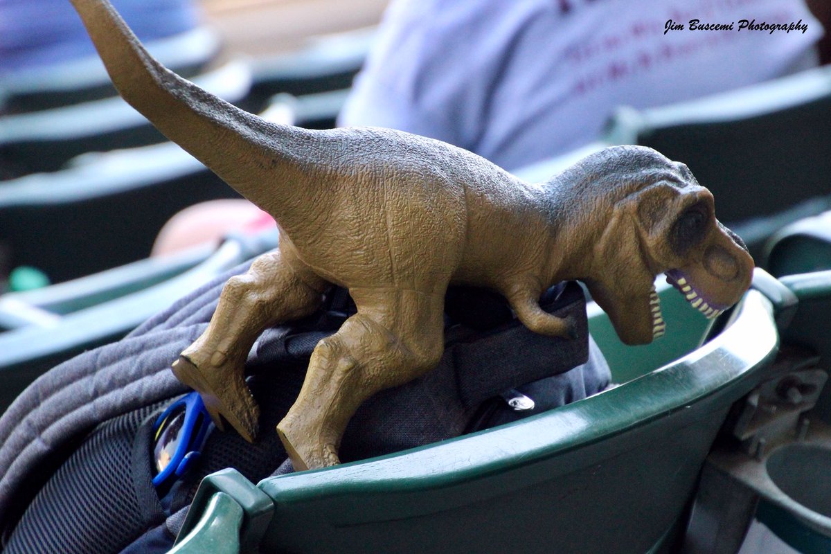 Jbusc33's tweet image. #dinosaursattack #frontierfield #panicensues #dinosaursofinstagram #rochesterplates #rochesterny #milb #baseball #matinee #educationday.