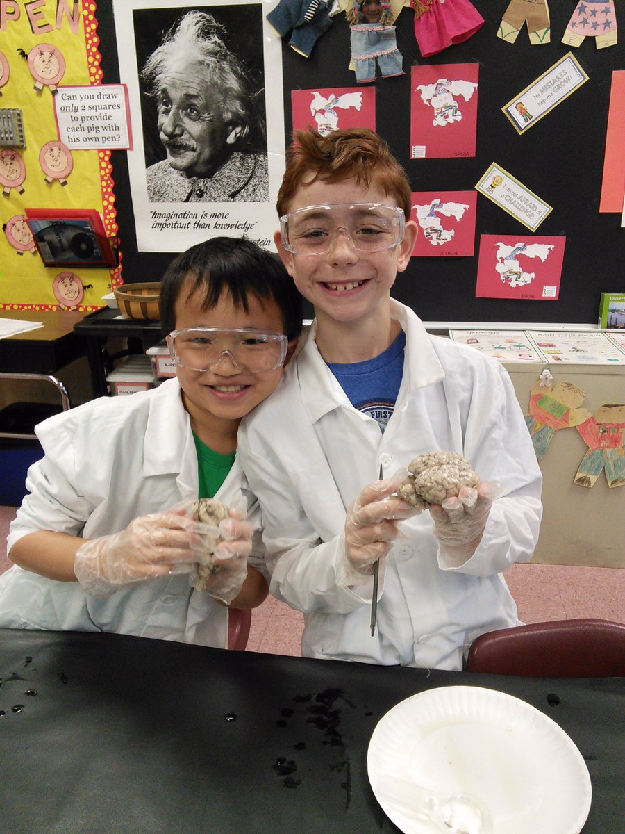 Mrs_Wibbs's tweet photo. MarEl's fourth-grade REACH students are budding neurosurgeons! Even Mr. Shatz and Officer Arminio got into the action! #sheepbraindissection #handsonlearning #REACHrocks @MarlboroES @MTPSNJ @MitchellShatz https://t.co/TwKI3FeiMR