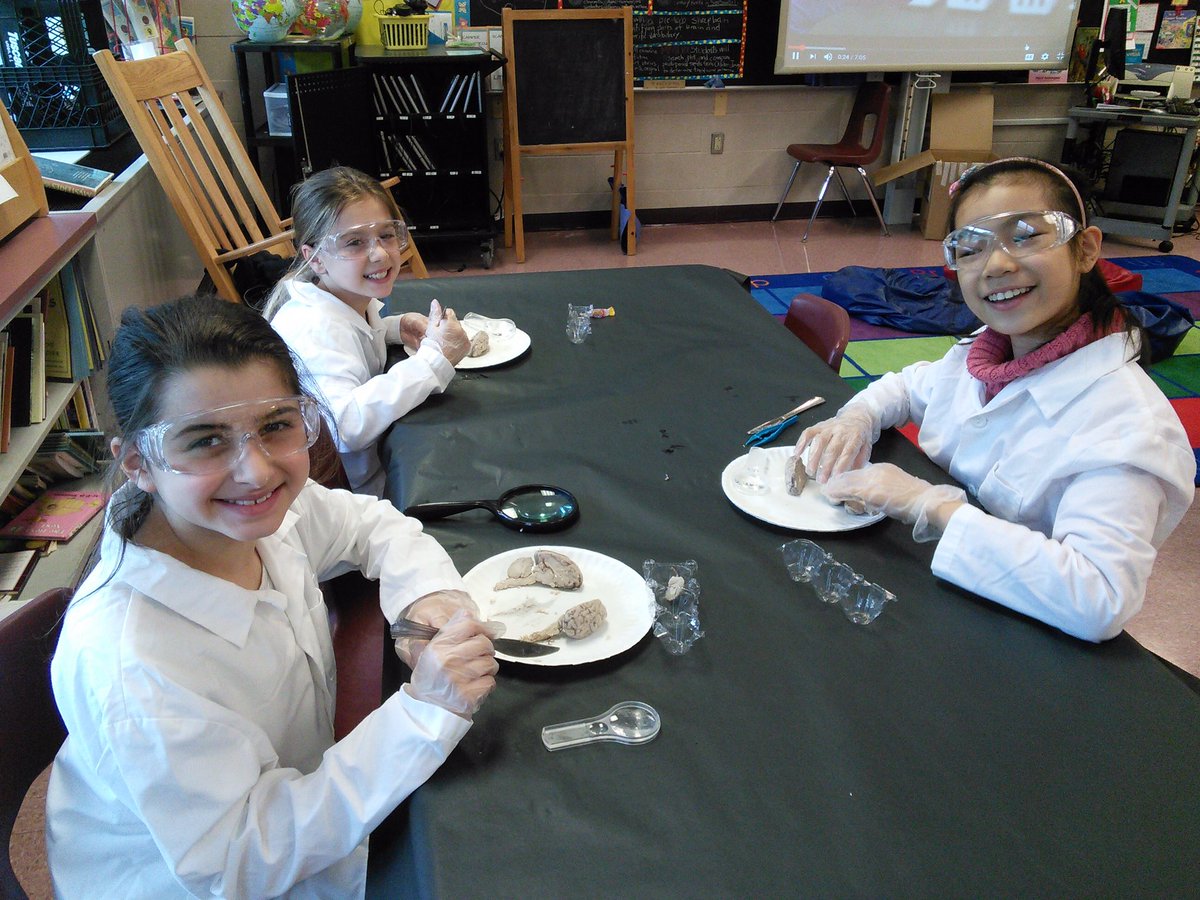 MarEl's fourth-grade REACH students are budding neurosurgeons! Even Mr. Shatz and Officer Arminio got into the action! #sheepbraindissection #handsonlearning #REACHrocks <a href="/MarlboroES/">Marlboro Elementary School</a> <a href="/MTPSNJ/">Marlboro Twp Schools</a> <a href="/MitchellShatz/">Mitchell Shatz</a>