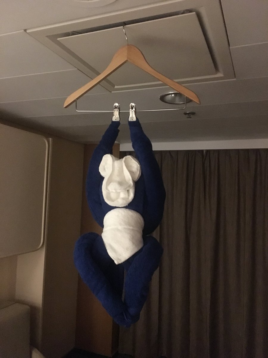 Lucy_Huxley's tweet image. FFS! What is it with this towel thing on cruise ships?!! This just scared the cr*p out of me....!!! 😱 #marellaexplorer @marellacruises @TUIUK @travelweekly