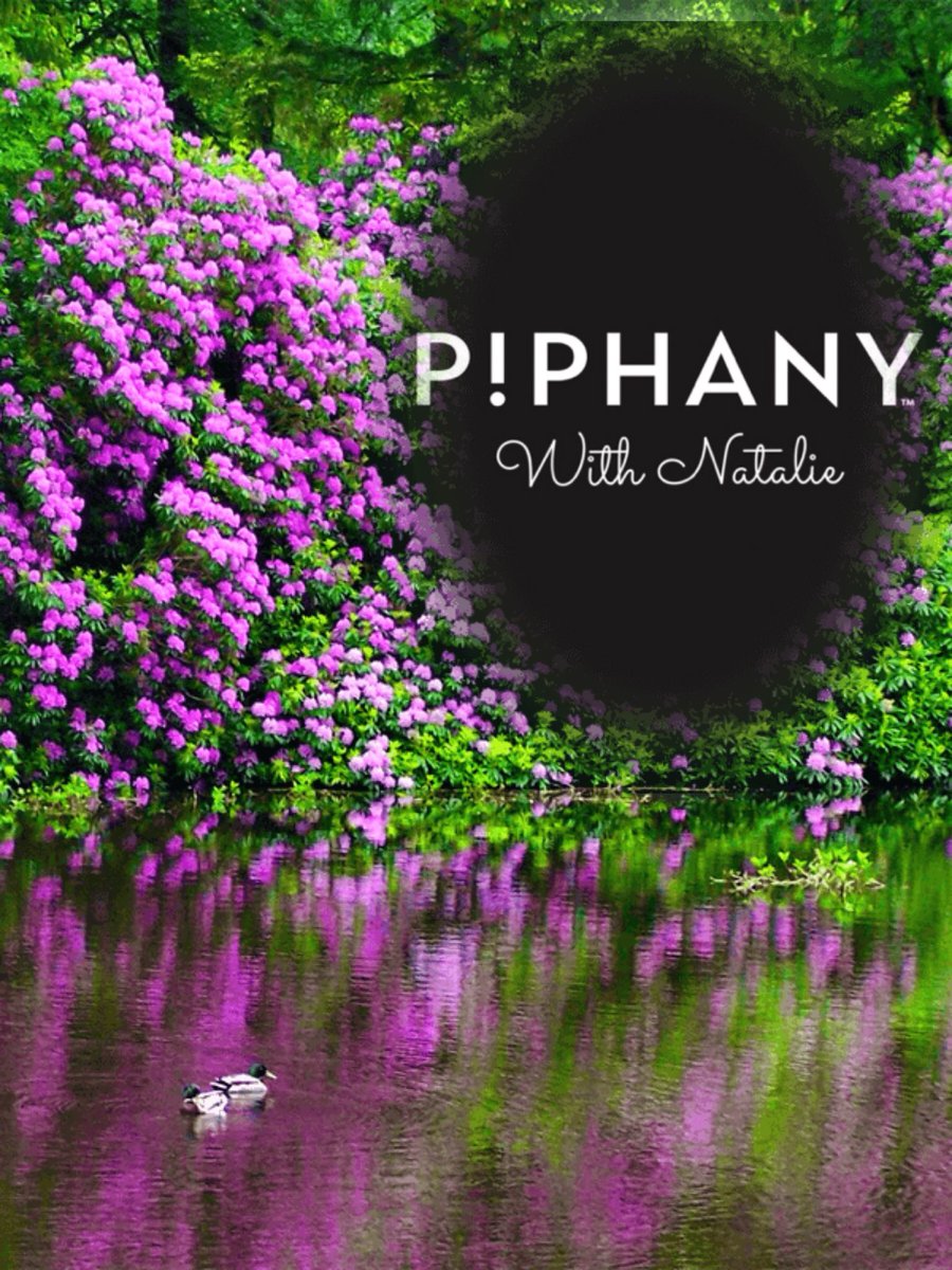 piphanyWNatalie's tweet photo. Piphany With Natalie #piphanywithnatalie #style #styleblogger #flowers #flowerpic #fashion #fashionblogger #checkusoutonfacebook #followme #lookbook #look #love #beautiful #green #sign #relax #chill #takeiteasy #spring #springtime #enjoylife #enjoy #behappy #happy #purple #purple https://t.co/nPo6NhKuzu
