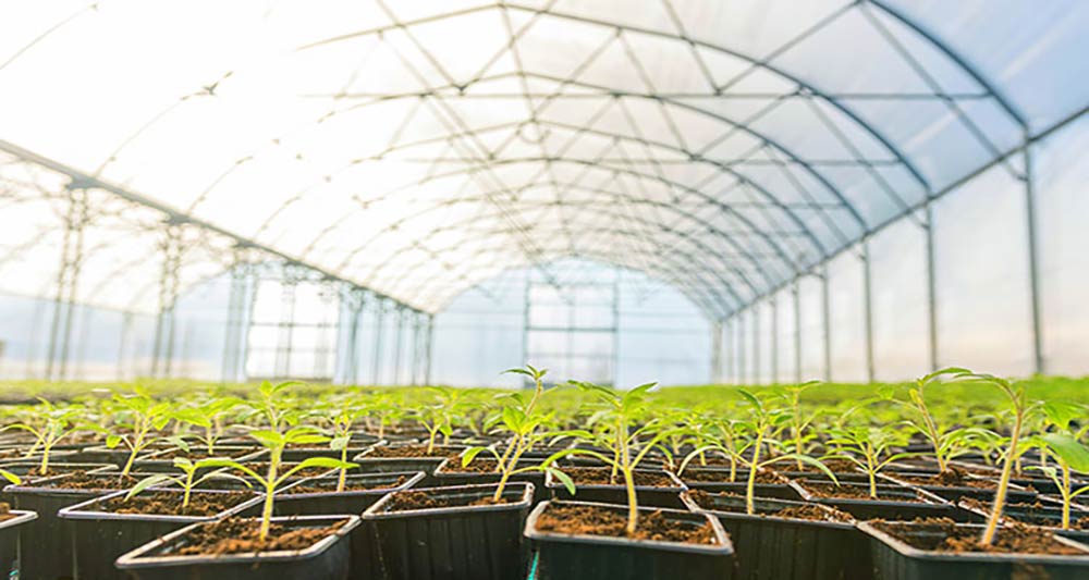 BTLLinersOR's tweet photo. Find the best fit for your greenhouse needs: https://t.co/igI3UvGvpW #growingseason #growing #ag #agriculture #greenhouse #covers https://t.co/ga3yoM8ywo