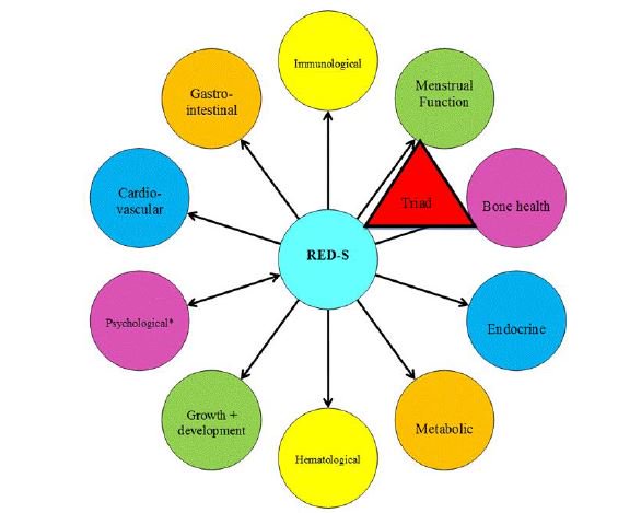 download wege zu effektiven psychotherapien psychotherapieforschung und praxis band