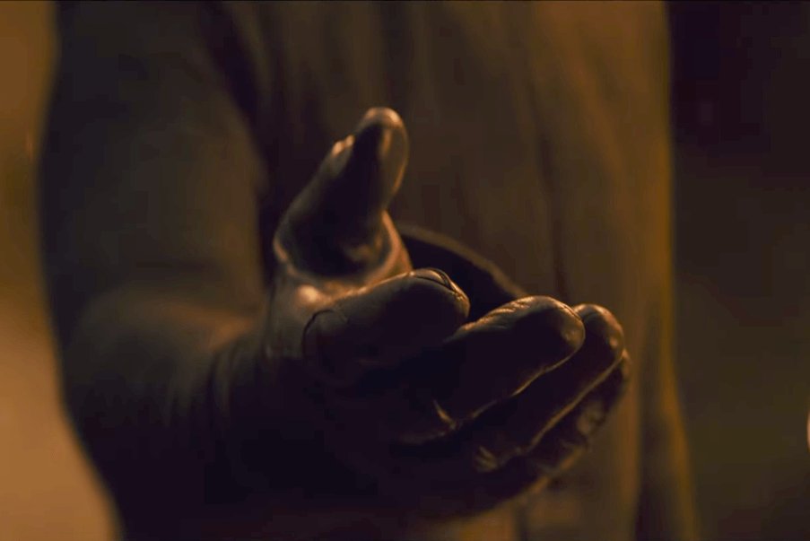 Coconut Tree Faller Outer Ofer tweet media