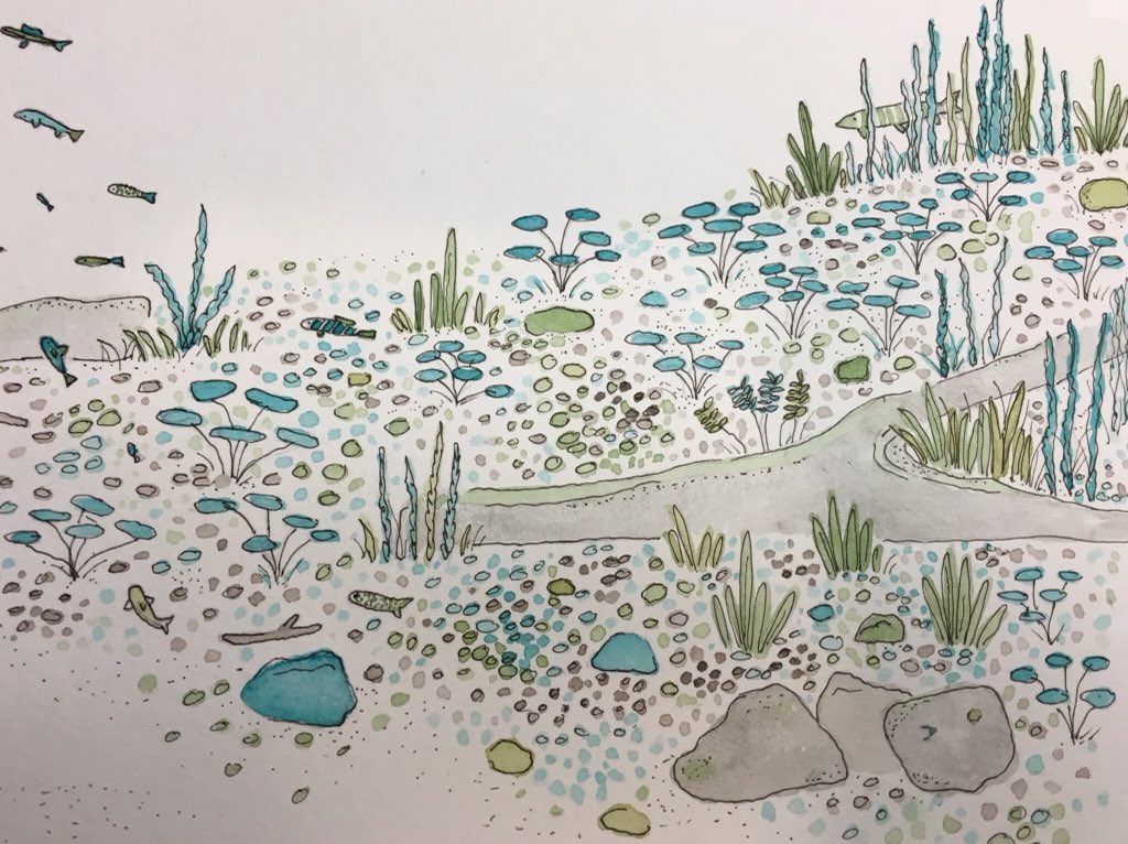 CortBenvenuto's tweet photo. 45/100 #The100DayProject #100dayproject #100daysCB_art #picturebook #childrensbooks #traditionalart #illustration #kidlit #kidlitart #closeup #bookcover #kwillustrator #comeonfish #cortneybenvenutoillustration https://t.co/IJKzwcCtNp