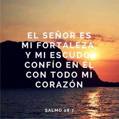 Martha Torres on Twitter: "Salmos 28:7 El SEÑOR es mi fuerza y mi escudo;  en El confía mi corazón, y soy socorrido; por tanto, mi corazón se  regocija, y le daré gracias