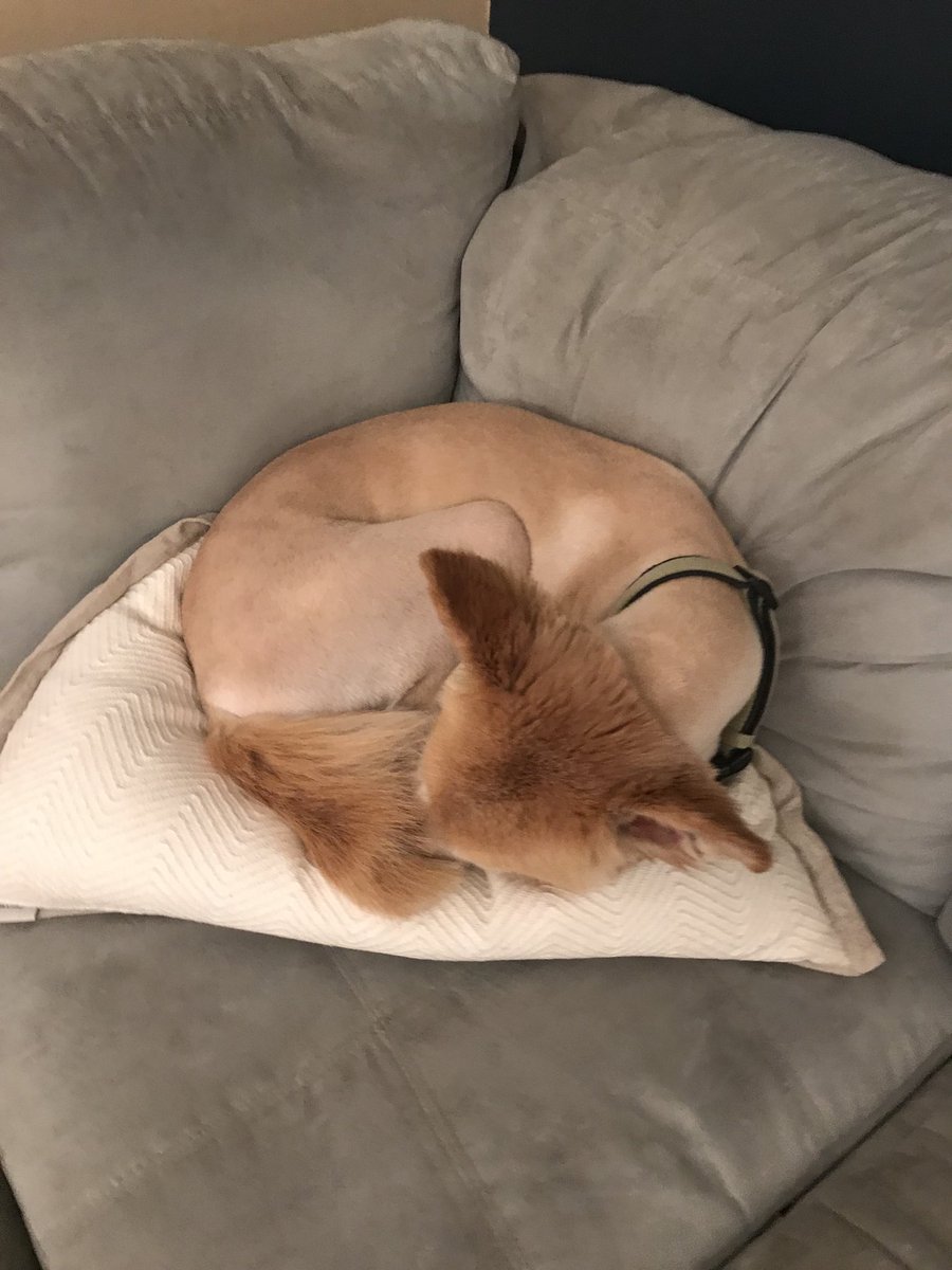 Do Good Mississippi tweet media