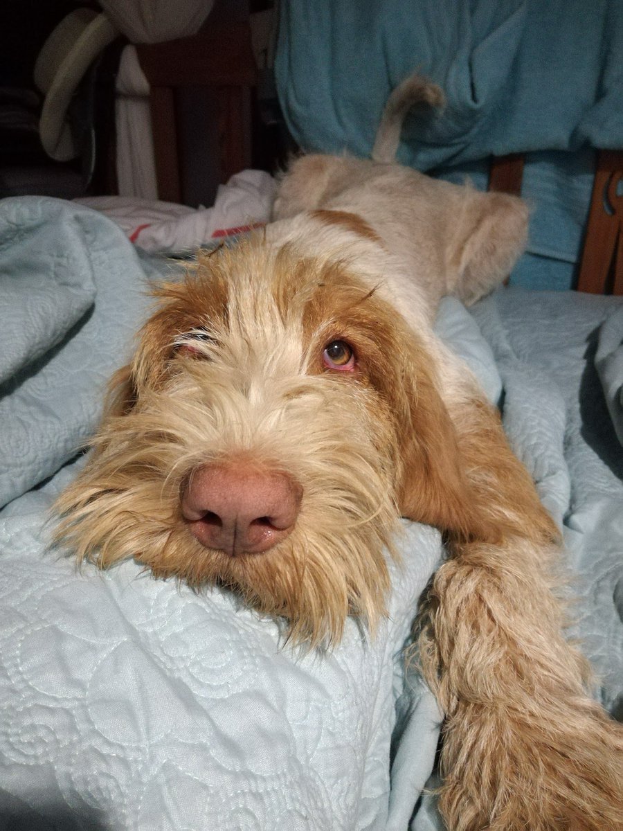 We're totally exhausted &amp;100% happy!
It's been such a fun&amp;busy time here at Ebonymoon with exhibits at <a href="/PulseLondonShow/">Pulse</a>  &amp; <a href="/decorexSA/">Decorex Africa</a>  ! Great to see everyone and get the chance to show you our new range...
Time to have a rest &amp; dream of new great designs.
ebonymoon.co.za