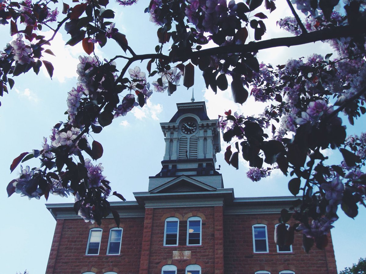 Calsizer's tweet image. #whygustavus 🖤💛