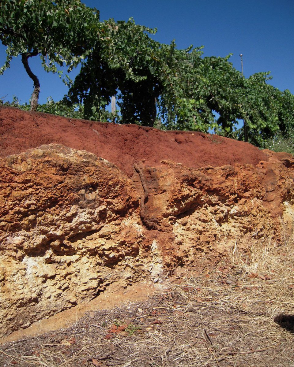 RT <a href="/Wine_Australia/">Wine Australia</a>: Presented by <a href="/Jeremy_Oliver/">Jeremy Oliver</a> the <a href="/CoonawarraWine/">Coonawarra</a> Cabernet master class at #VinexpoHK will explore how the Coonawarra and Cabernet were made for each other. Come taste at the Wine Australia stand @Vinexpo Hong Kong 29 May 11:30AM.