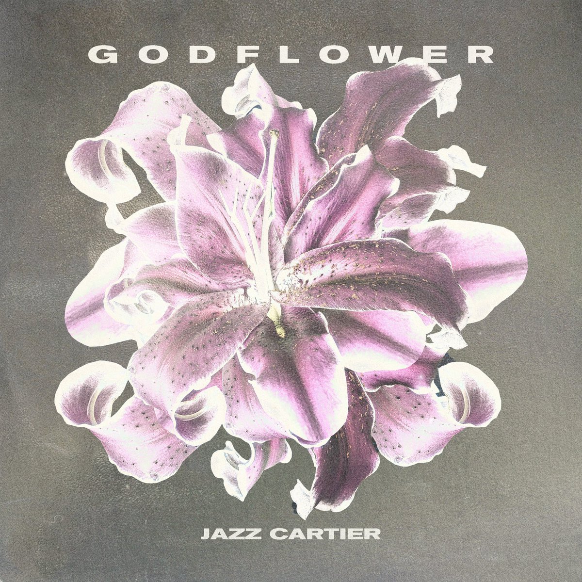 JazzCartier's tweet photo. • GODFLOWER 🌸 OUT NOW !!!!
https://t.co/jGmfchxsrT https://t.co/yjpsFhFQBt
