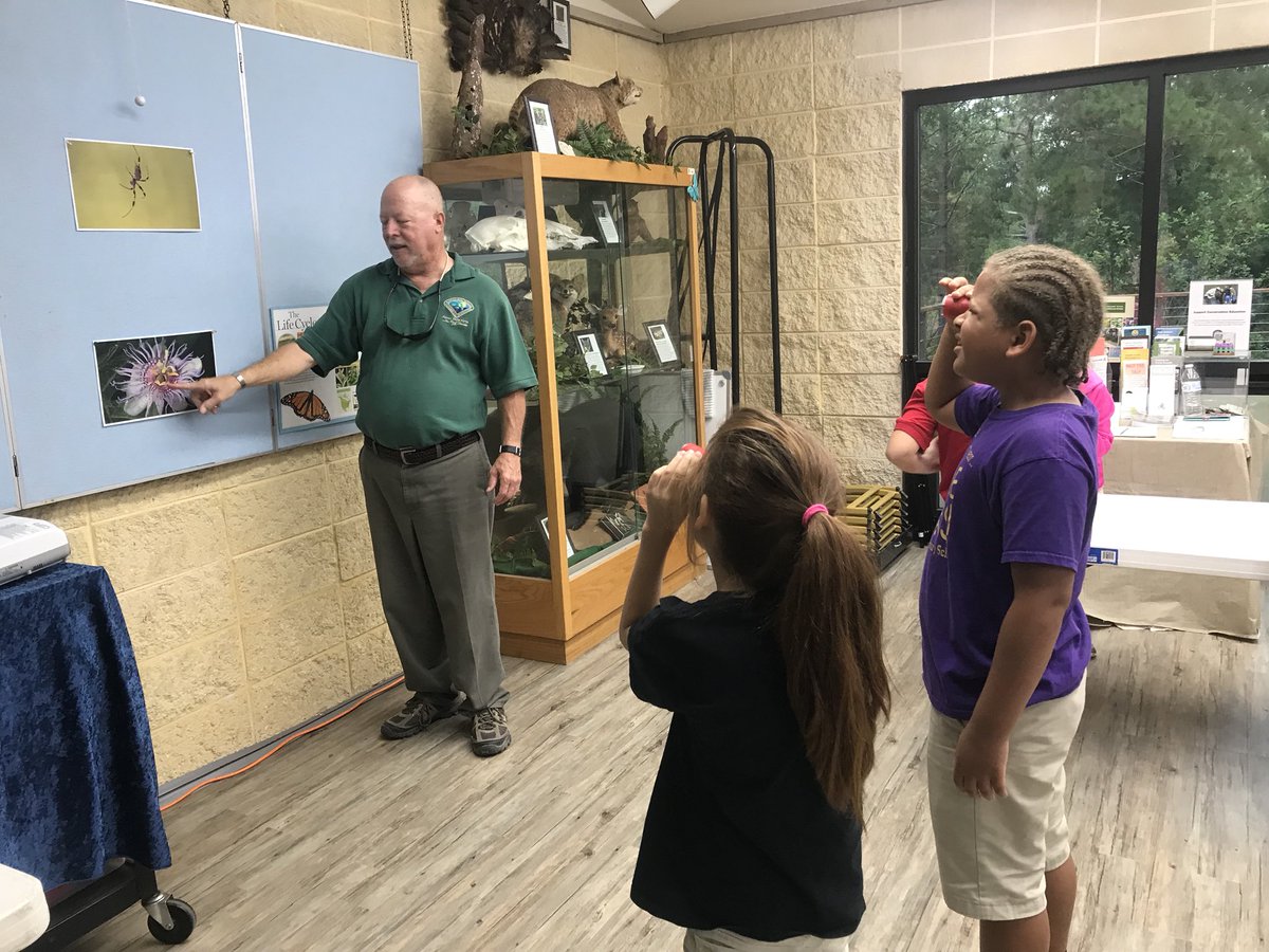 MelissaTriana's tweet photo. The second grade field trip to the Chinsegut Consevation Center made such an impact in the students’ discovery of the fascinating butterflies and their life cycle. #chinsegutconservationcenter #chinsegut  #seconders #fieldtrip https://t.co/mefP4Ku0tS