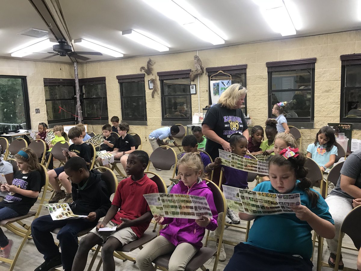 MelissaTriana's tweet photo. The second grade field trip to the Chinsegut Consevation Center made such an impact in the students’ discovery of the fascinating butterflies and their life cycle. #chinsegutconservationcenter #chinsegut  #seconders #fieldtrip https://t.co/mefP4Ku0tS