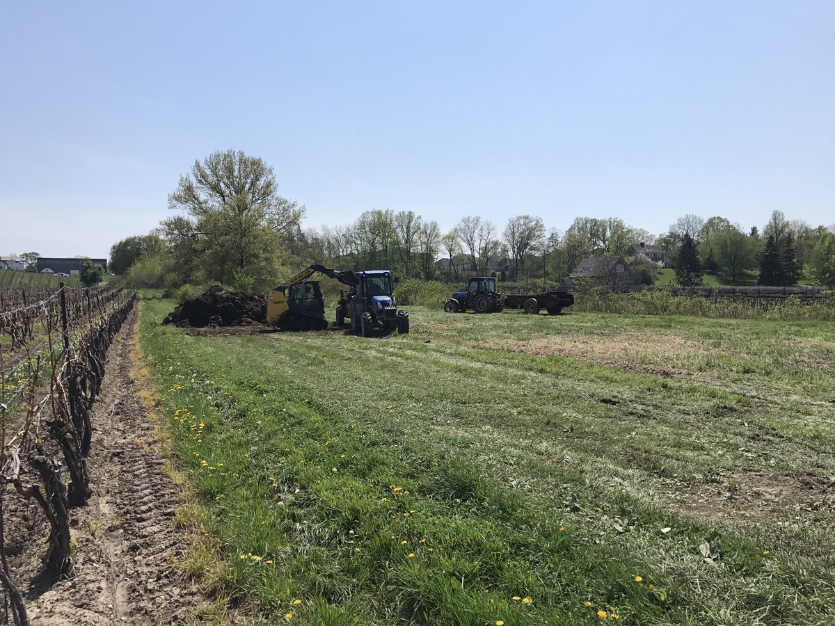 Glen_Elgin's tweet photo. Spreading manure at @FoolAnd60Acres and #Fiverows Winery of #Lowrey Vineyards.

Healthy, balanced soils required to produce premium fruit. This starts with a solid soil management program. No surprise 2 of the top wineries in their area are working to maintain/build their soils? https://t.co/LbPI1crZ0z