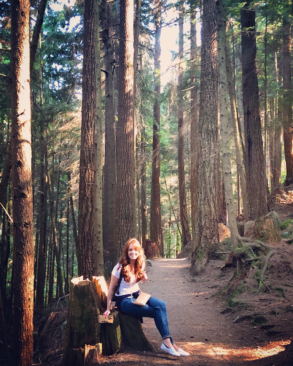 Yesterday’s birthday throne of spiderwebs and beetles 😸👸🌲✨