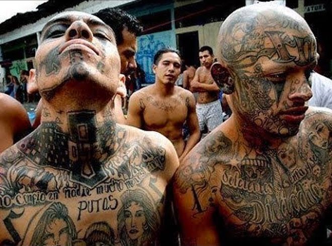 Jillibean557's tweet photo. Not sure why Trump would refer to the murderous MS-13 gang as animals. They look like fine upstanding gents to me.🙄🙄 https://t.co/Zb9gSkb3oQ