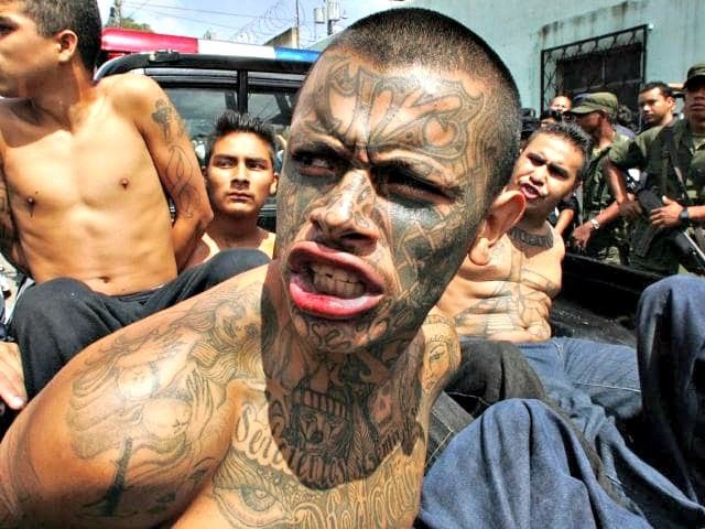 Jillibean557's tweet photo. Not sure why Trump would refer to the murderous MS-13 gang as animals. They look like fine upstanding gents to me.🙄🙄 https://t.co/Zb9gSkb3oQ