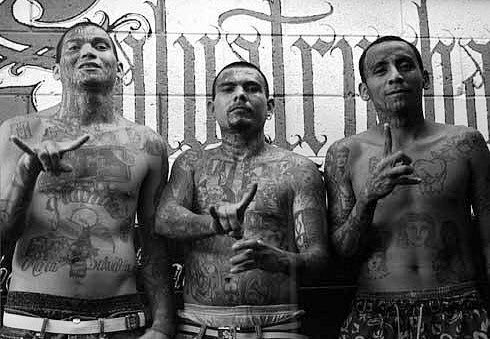 Jillibean557's tweet photo. Not sure why Trump would refer to the murderous MS-13 gang as animals. They look like fine upstanding gents to me.🙄🙄 https://t.co/Zb9gSkb3oQ
