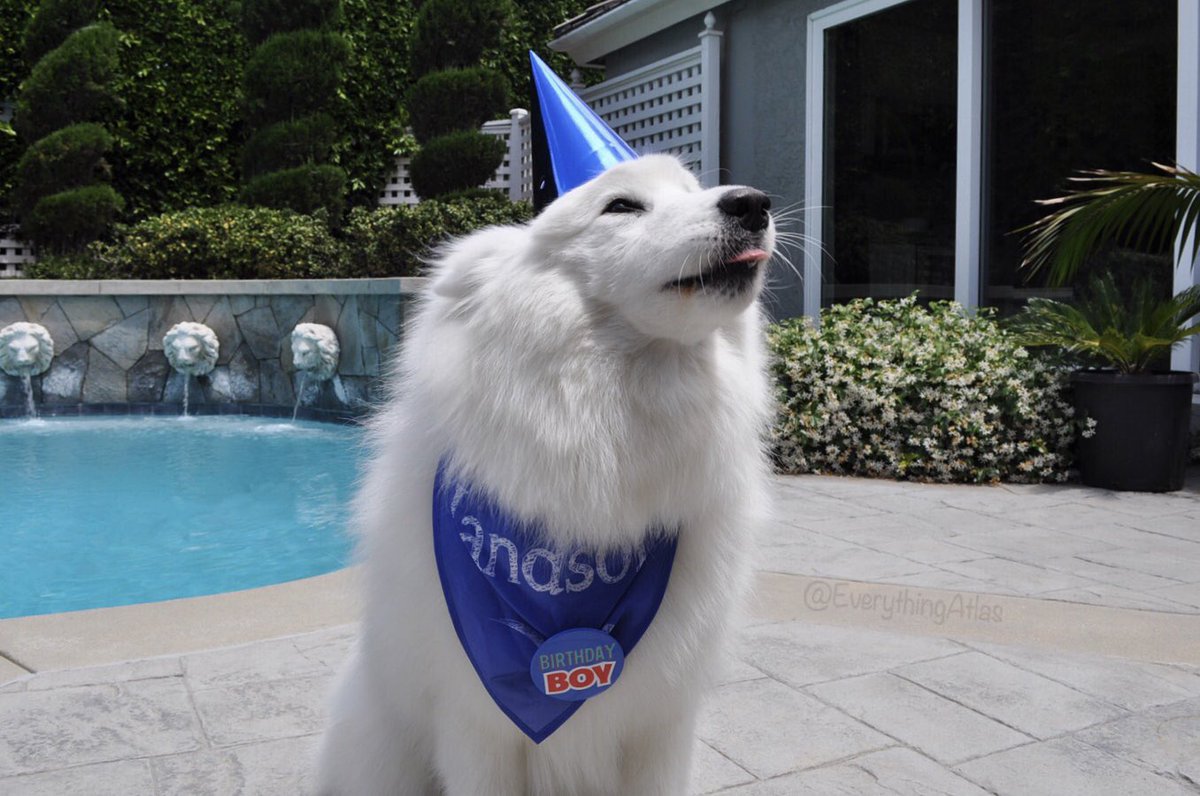 divfem's tweet photo. HAPPY 2ND BORTHDAY TO MY BOI !! https://t.co/lHenfidp3E