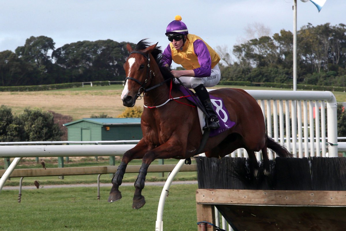 nzracingnews's tweet photo. The experience and performance of #MonarchChimes at the 'Bool" have @Em_mcveanracing keen to return for more. https://t.co/k73ZkIIsnn https://t.co/PEqbdgjLmr