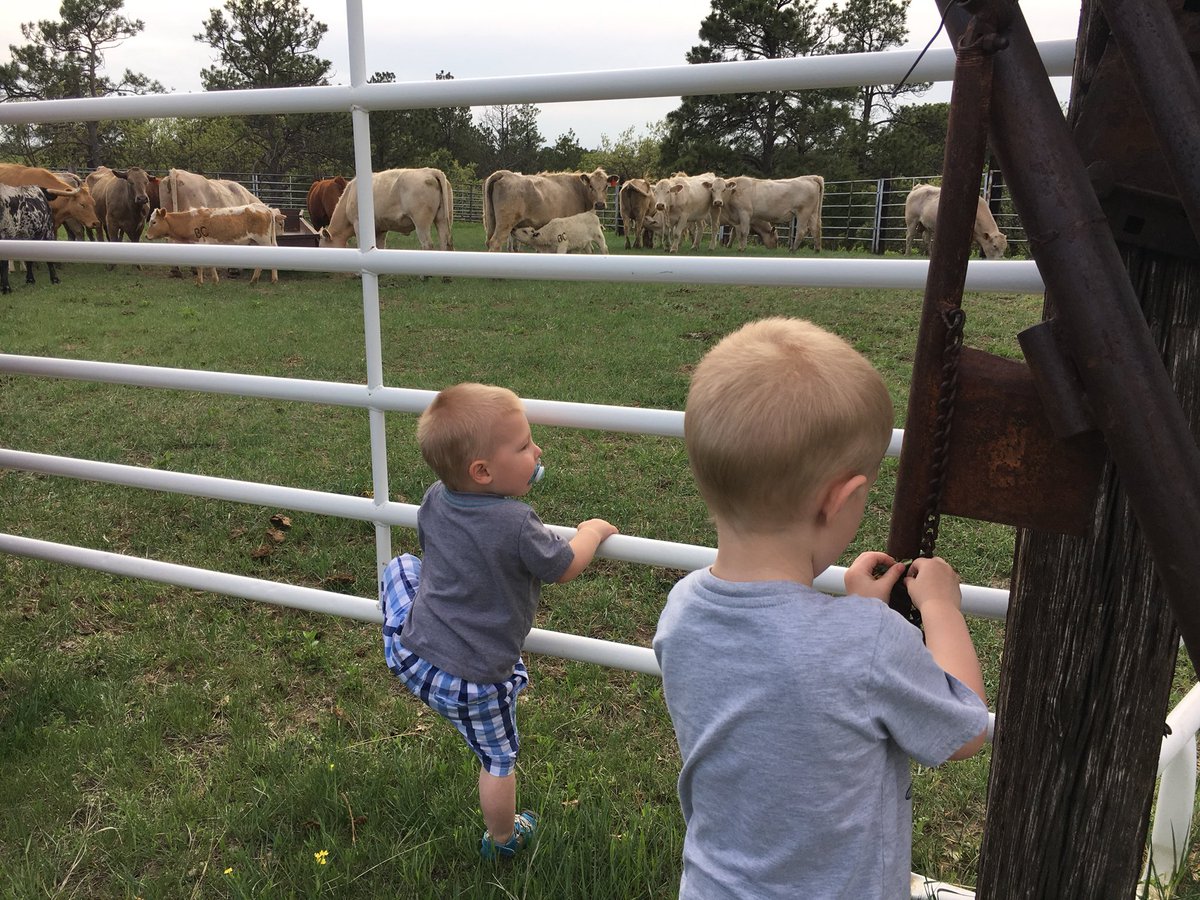 Double Down Outdoors (DbleDwnOutdoors) Twitter