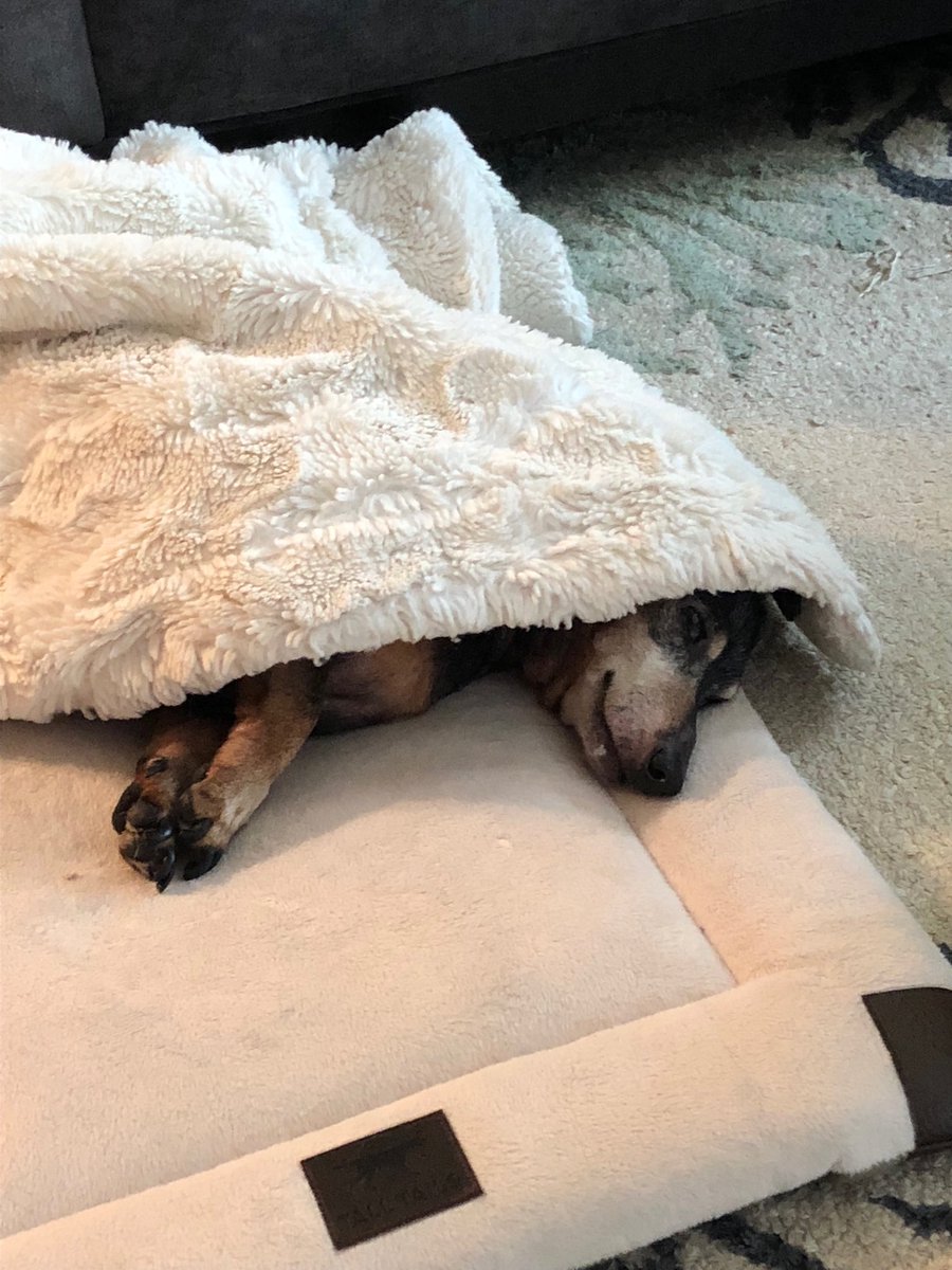 rshawnm's tweet image. Betty Draper is worn out!  #AAFPChat