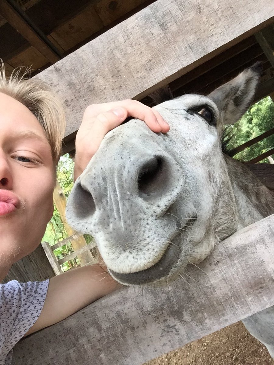 mitchepiper's tweet photo. Felt cute, might delete later https://t.co/HjzWOq2OMU