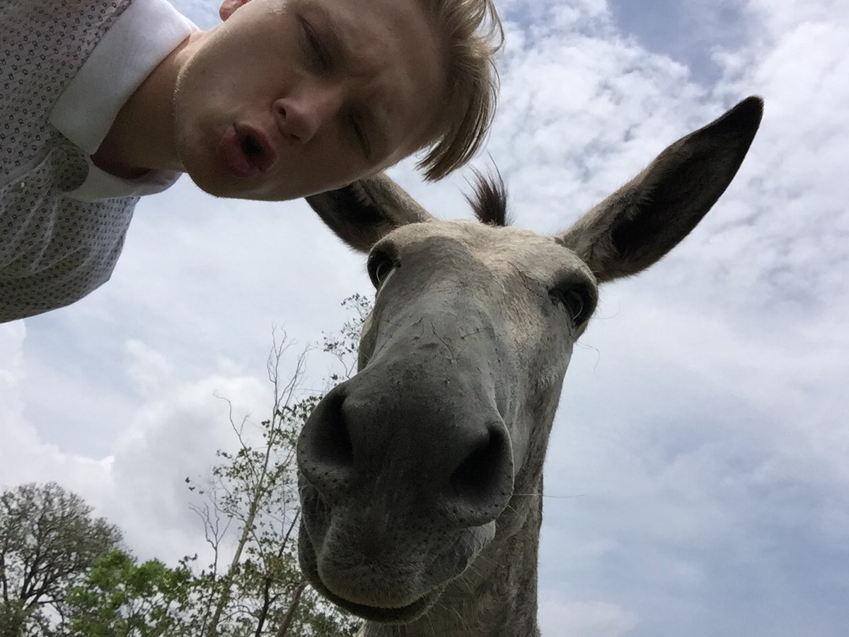 mitchepiper's tweet photo. Felt cute, might delete later https://t.co/HjzWOq2OMU