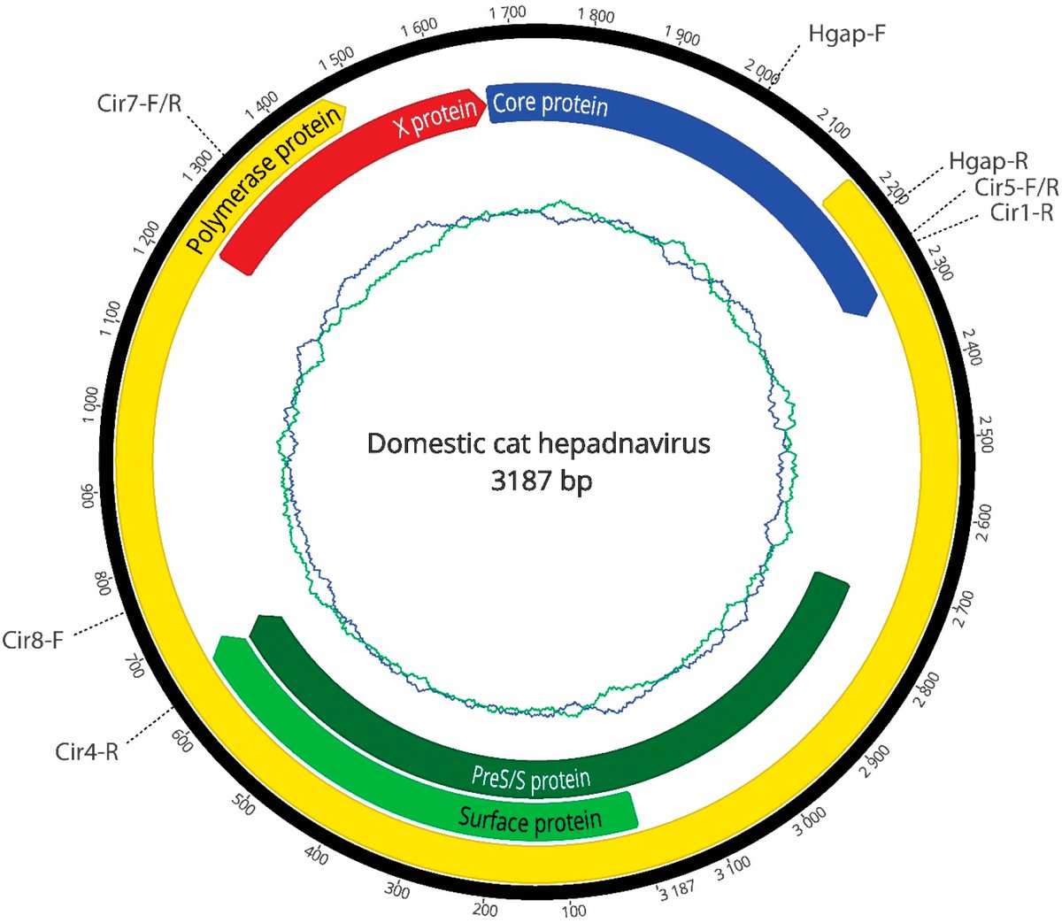 VirusesMDPI's tweet photo. Paper A Novel #Hepadnavirus Identified in an Immunocompromised Domestic #Cat in #Australia by Julia A. Beatty (@Sydney_Vet @MarieBashirInst @Sydney_Uni ) and colleagues.
๐https://t.co/IDV41dHZSs #virus #Orthohepadnavirus #immuosuppression #hepatitisB #feline #carnivore https://t.co/hN79jMhwIM
