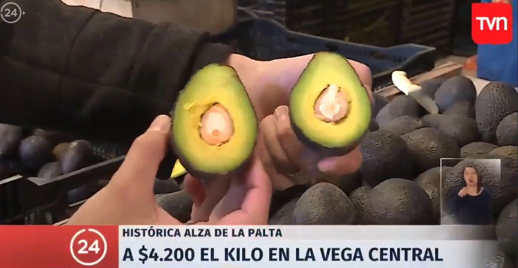 24HorasTVN's tweet photo. 📡#ENVIVO Histórica alza en el precio de la palta #24HorasCentral

Sigue la señal en vivo #24Play https://t.co/4y0QHh1IBh https://t.co/mhcXueSXXY