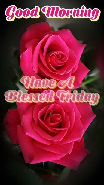 Good Morning Have A Blessed Friday Sanjeev Sharma On Twitter: "Good Morning To All My Friends Have A Blessed  Friday To All Of You Https://T.co/Uycjklqjso" / Twitter