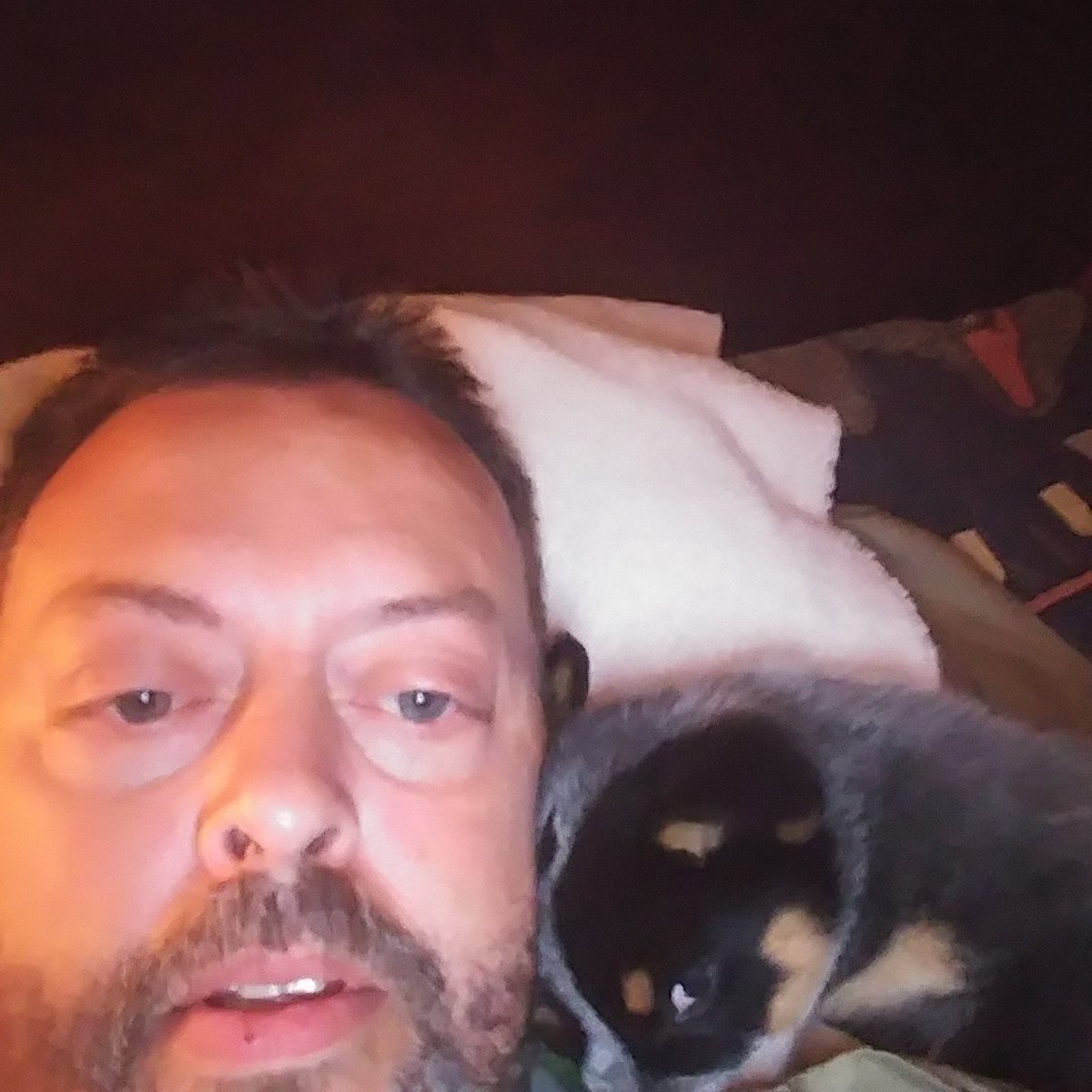 epc19111's tweet image. 