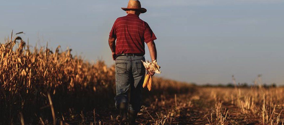 URGENT: The #FarmBill is up for a vote in the House. Urge your Representative to vote NO. This draft slashes support for nutrition assistance and conservation. It's bad for families, bad for consumers, bad for the environment, and bad for farmers. bit.ly/2KvrObd