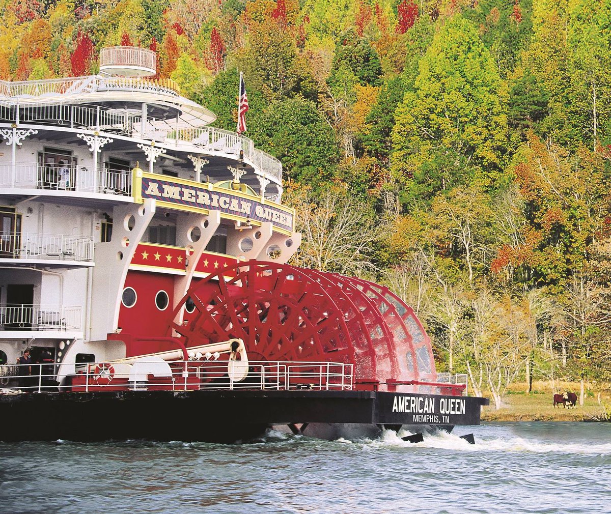 HSUAlumniTravel's tweet photo. Join HSU’s Traveling Range Riders and go beyond the 40 Acres! Cruise the Caribbean, float up the Mississippi River, or explore Vienna, Austria. 
Deadlines: May 23 (Southern Grandeur/Mississippi River) and May 31 (Sandy Shores/Caribbean and Vienna). https://t.co/6vG5mqWc0d https://t.co/0Ih76OMfm9