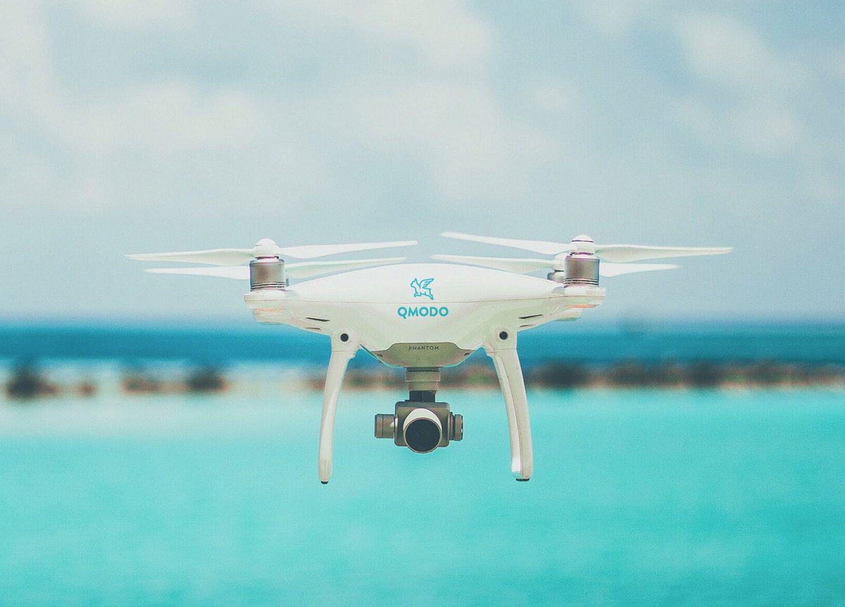 Studio Papa tweet media