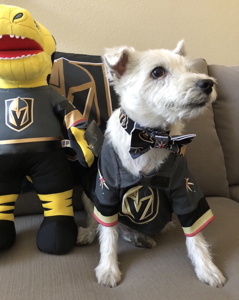 Hey <a href="/Jackie_Redmond/">Jackie Redmond</a>, take me to the <a href="/NHL/">NHL</a> Awards Show? ~ Bark🐾 #SayYes #NHLAwards #NHLAwards2018 #NHLNetwork #LasVegas #BarkAndéFurry