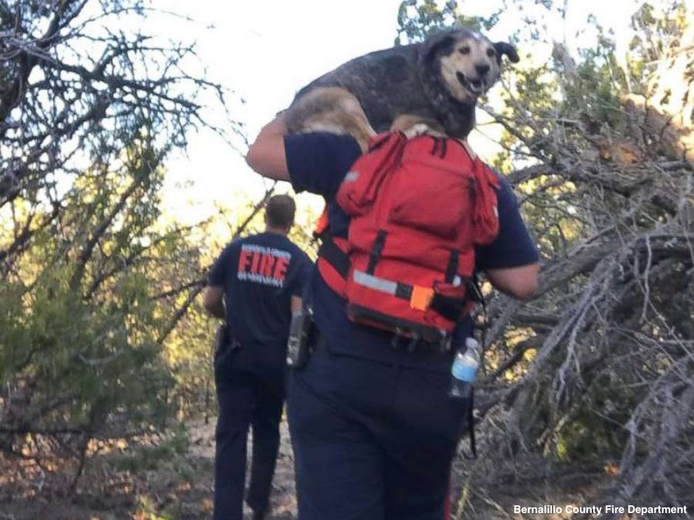 Firefighter uses his own drone to help rescue hikers, dog   bit.ly/2rQV8lE?utm_so… https://t.co/YQqeKJ7siS