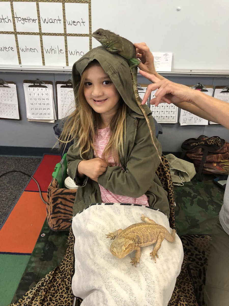 BulldogMesa's tweet photo. Annual Science Discovery Day #zoomtools #lizardwizard https://t.co/bIJ29ZKYgM