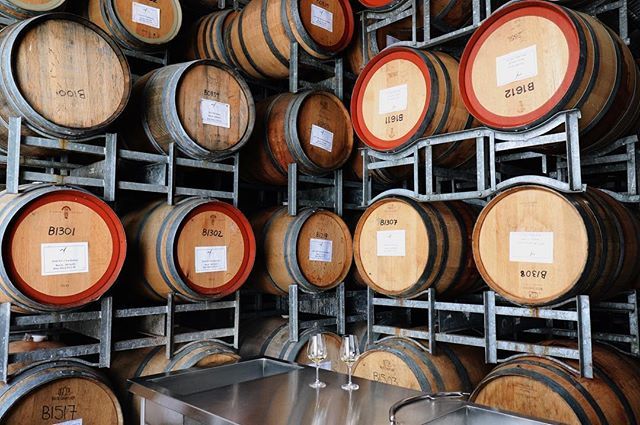 TheWineryWitch's tweet photo. Itβs easy to love the smells of the barrel shed, and being able to enjoy this oak aged sauv just tops it off. .
.
.
.
#Friyay #barrel #oak #wine #witchesfalls #workingwinery #local #drink https://t.co/WHAopu0kNY