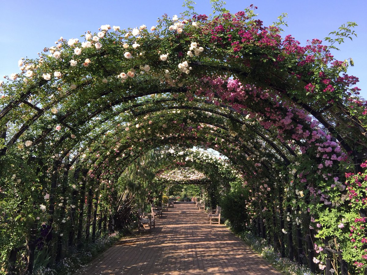 横浜で暮らす 横浜イングリッシュガーデン は 相鉄線平沼橋から徒歩10分 横浜駅西口から無料送迎バス も出ているのでアクセスも なんです 横浜イングリッシュガーデン 横浜で暮らす 相鉄線 相鉄 Hamakura 横浜イングリッシュガーデン