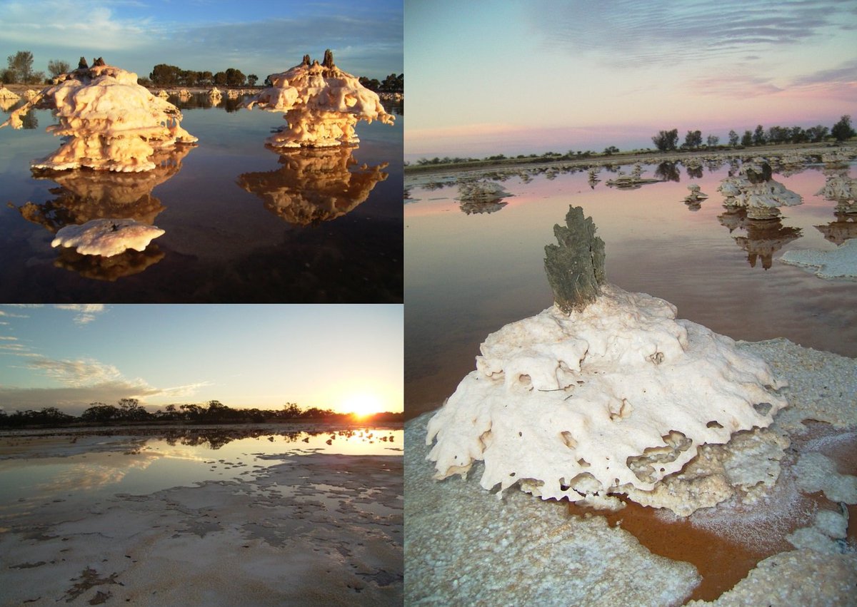 Wheatbeltnrm's tweet photo. Spectacular images of unique #saltformations around the remains of tree trunks in a salt lake north of #Dowerin photographed by Lyn Phillips. They will dissolve & disappear when it eventually rains! #SaltStalagmites #WheatbeltWonders https://t.co/4FKLTl4pHd