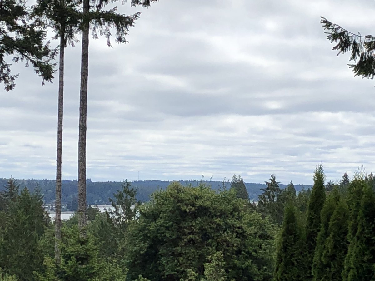 YvetteRossRE's tweet photo. **NEW LISTING ALERT** Great opportunity to buy a view property and build your custom dream home! https://t.co/Qzztasx7qW  #pnwlife #homerocks #cbbain #lovewhereyoulive #viewproperty #mountains https://t.co/T6sYNKPIOs