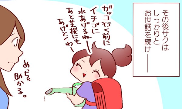 イチゴを大切に育てる長女、優しさが裏目に出る【良妻賢母になるまでは。 第8話】 #コミックエッセイ #育児 #のばら #良妻賢母になるまでは #育児マンガ https://t.co/xwNgn7G9BW