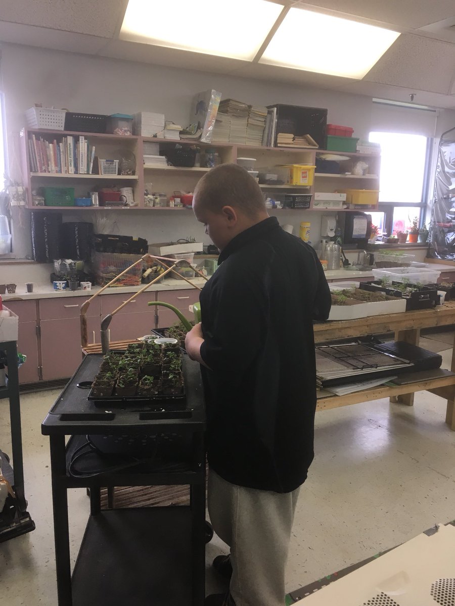 tinkercoup's tweet photo. Garden sale today was a huge success! #lifelonglearning #lifeskills #hardworkpaysoff @ConnaughtNB @LskySD https://t.co/YrTzUGAQHv