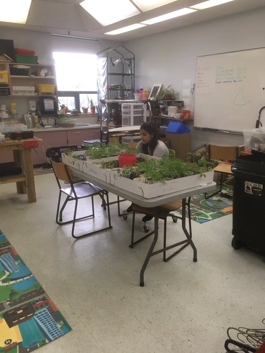 tinkercoup's tweet photo. Garden sale today was a huge success! #lifelonglearning #lifeskills #hardworkpaysoff @ConnaughtNB @LskySD https://t.co/YrTzUGAQHv