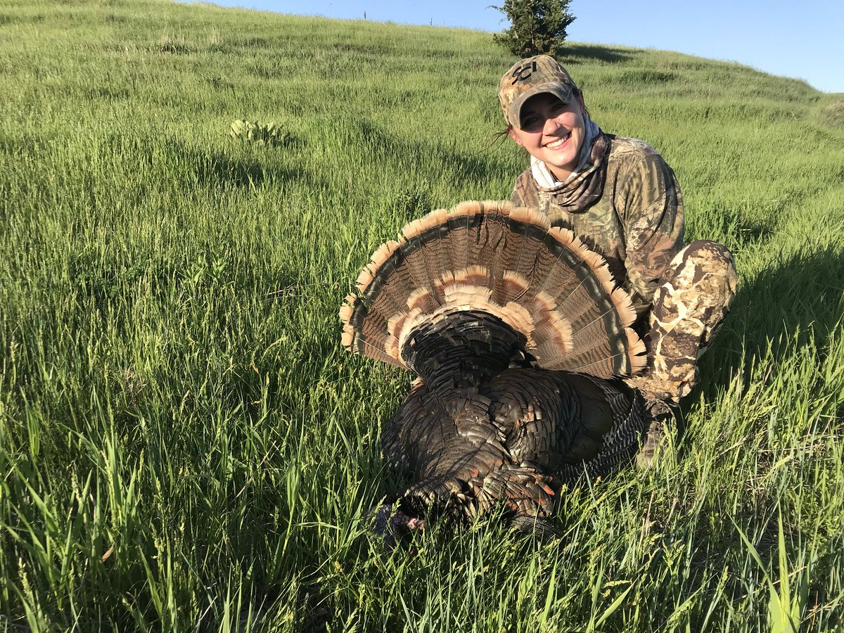 jessenharding's tweet photo. Finished up turkey season tonight! He actually only had one spur! π¦ @HuntressView #blessed #turkey #hunting #turkeyhunting #ne #nehunt #sportswomen #huntmoreworryless https://t.co/rxftJCCJBk