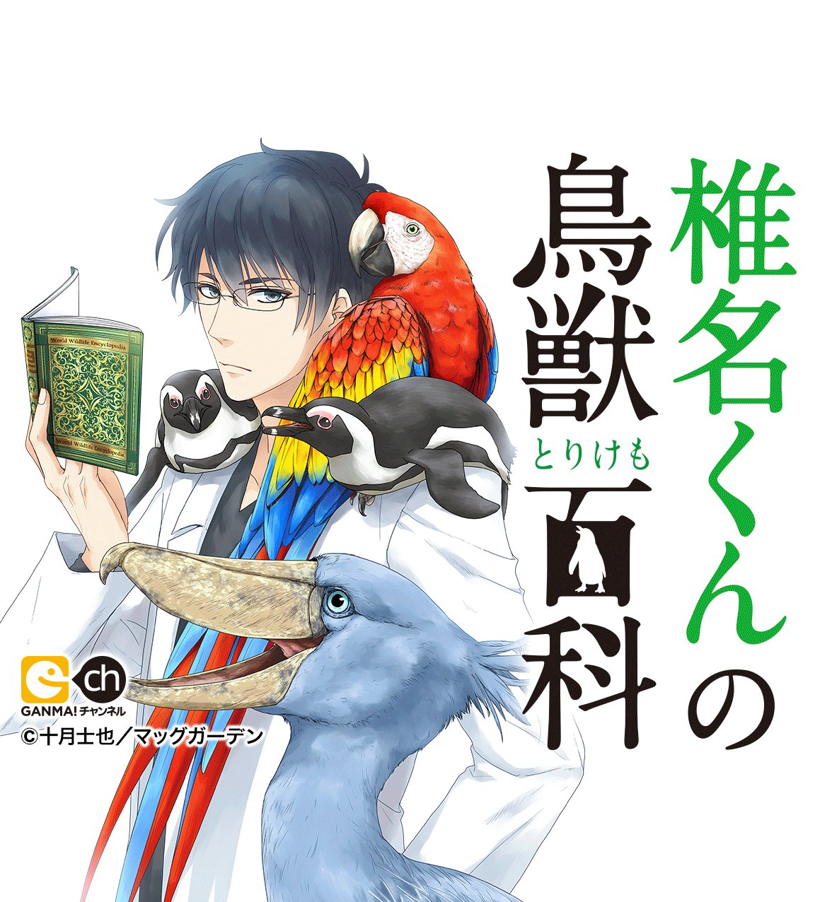 Ganma 公式 オリジナルマンガを最新話までイッキ読み No Twitter 新米学者と動物達の日常生態観察ストーリー 椎名くんの 鳥獣百科 の出張掲載が決定 5月25日 6月30日まで9話分を無料公開 6月1日 6月30日までプレミアム会員限定で全10巻 完結 まで読める