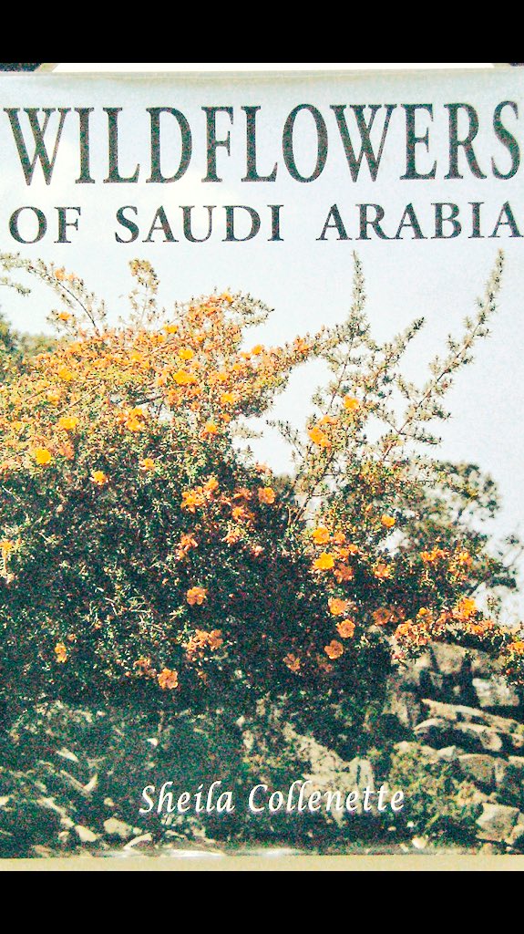 aaahegbani1's tweet photo. @Khalidababatain صدر كتاب شيلا كولينت في طبعتين بعنوانين متشابهين ، الأول النباتات ( الزهور) في المملكة العربية السعودية، والثاني ، النباتات البرية في المملكة العربية السعودية https://t.co/5973v4Otyw